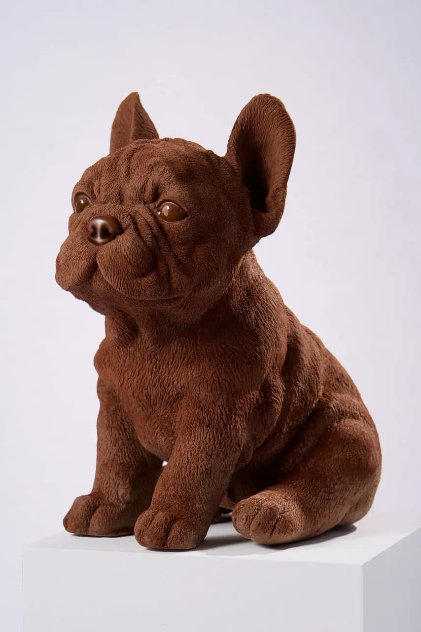 Chien Bulldog