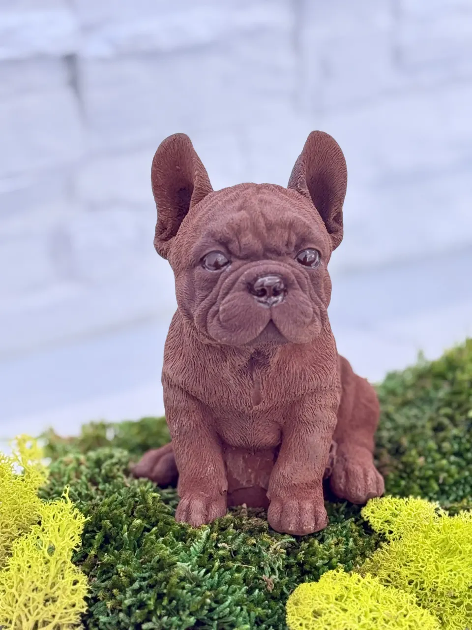 Chien Bulldog