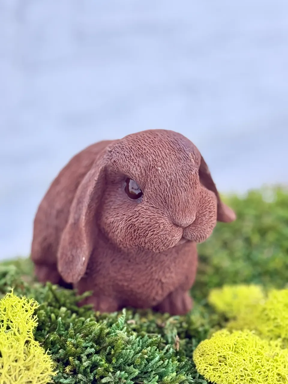Lapin aux Grandes Oreilles