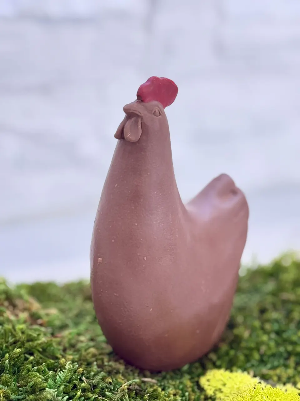 Poule Design